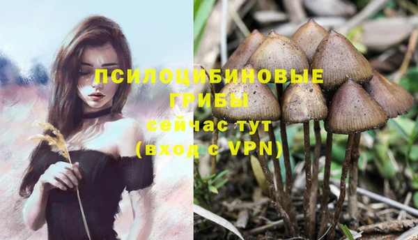 кристаллы Армянск