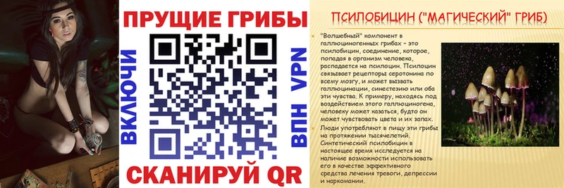 Псилоцибиновые грибы Magic Shrooms  ссылка на мегу ССЫЛКА  Армянск 